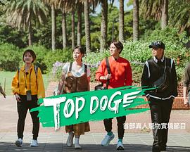 成人b站《TOP DOG》免费在线观看