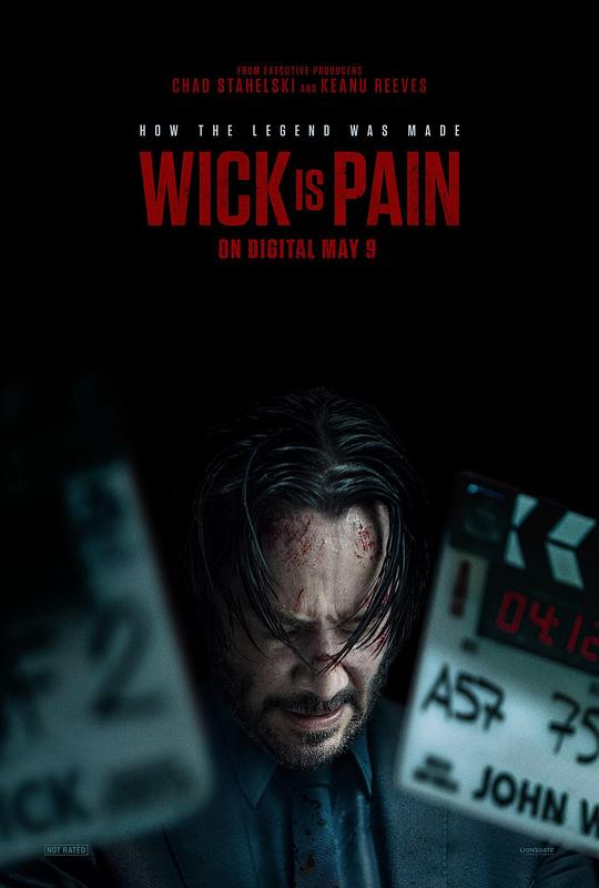 成人b站《疾速剧痛 Wick Is Pain》免费在线观看