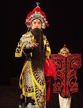 成人X站《袁崇焕2009》免费在线观看