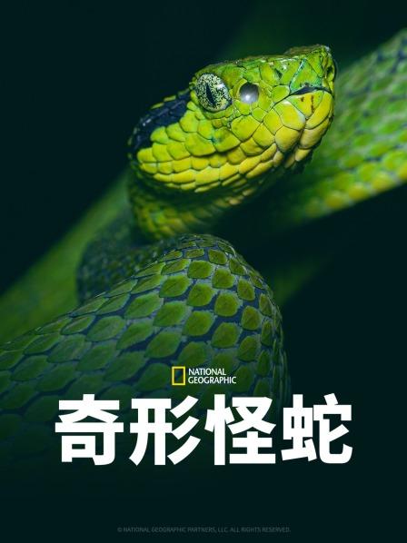 成人X站《奇形怪蛇》免费在线观看